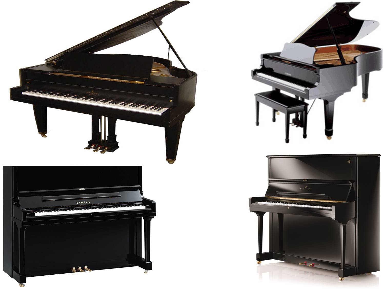 Grand Piano on rent in Mysore